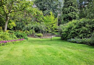 Optimiser l'expérience du jardin à Saint-Vincent-de-Barbeyrargues